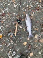 IMG_0421.jpeg