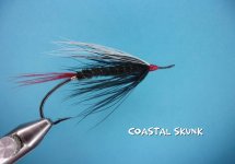 Coastal Skunk.jpg