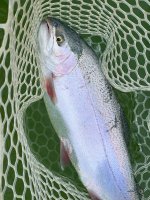 IMG_9434.jpeg