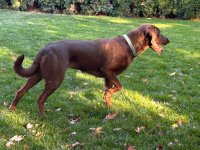 IMG_2438.jpeg