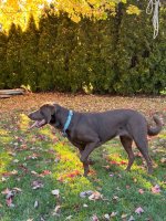 IMG_2442.jpeg