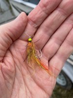 IMG_4572.jpg