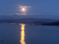 IMG_6717.jpeg