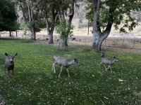IMG_3856.jpeg IMG_3856.jpeg