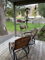 IMG_3867.jpeg