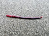 IMG_4406.jpeg