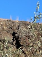 IMG_3175.jpeg
