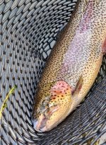 IMG_6137.jpeg