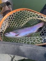 IMG_3003.jpeg