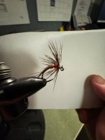 IMG_1520.jpeg