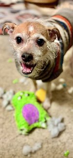 IMG_3894.jpeg
