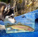 IMG_4996.jpeg