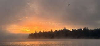 IMG_4602.jpeg