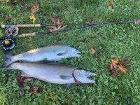 IMG_4610.jpeg