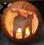 IMG_9561.jpeg