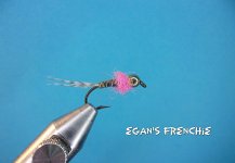 Egan's Frenchie.jpg Egan's Frenchie.jpg