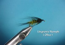 Lingren's Nymph.jpg Lingren's Nymph.jpg