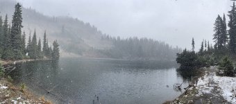 IMG_8229.jpeg IMG_8229.jpeg