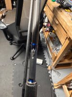 IMG_4921.jpeg