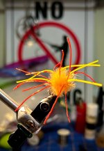 IMG_5056.jpeg