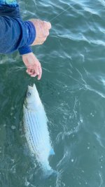 IMG_1798.jpeg