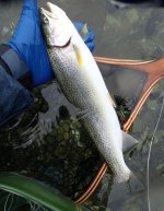 IMG_9585.jpeg