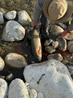 First fish.jpg First fish.jpg