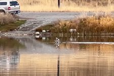 IMG_4180.jpeg