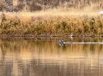 IMG_4181.jpeg