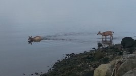 20170504_082036.jpg