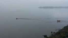20170504_082047.jpg