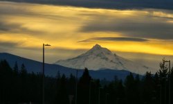 20241030_084245.jpg