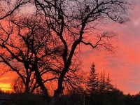 IMG_0127.jpeg