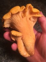 465B2C28-C7B9-46CA-8976-69E348794708.jpeg