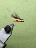 IMG_5513.jpeg