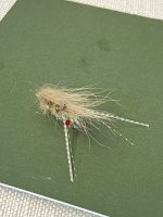 IMG_5527.jpeg