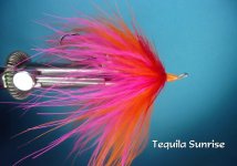 Tequila Sunrise Intruder.jpg