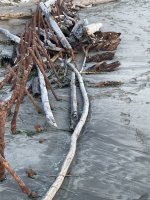 IMG_4612.jpeg