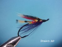 Drain's 20.jpg
