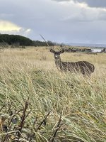 IMG_4614.jpeg
