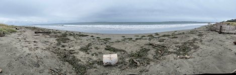 IMG_4631.jpeg
