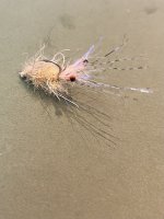 IMG_5536.jpeg