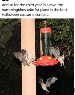 IMG_7591.jpeg