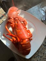 IMG_0501.jpeg