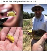 IMG_6461.jpeg