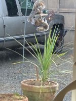 IMG_0438.jpeg
