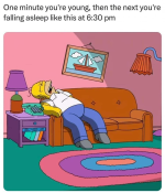 1731127337575.png
