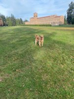 IMG_4654.jpeg IMG_4654.jpeg