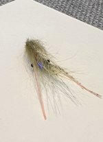 IMG_5543.jpeg