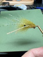 IMG_5544.jpeg